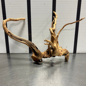 Spider Wood L10