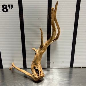 Spider Wood L11