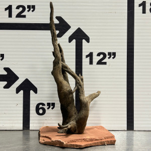 Driftwood - Driftwood On Slate - X-Large - Modern Aquarium