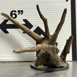 Driftwood - Driftwood On Slate - X-Large - Modern Aquarium