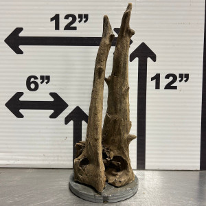 Driftwood - Driftwood On Slate - X-Large - Modern Aquarium