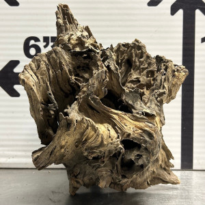 Stump Wood (M2)