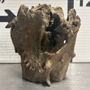 Stump Wood (M4)