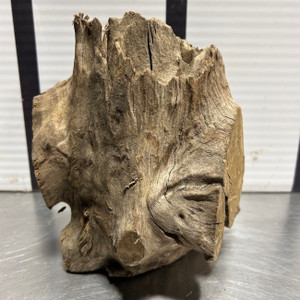 Stump Wood (M8)