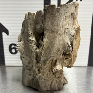 Stump Wood (M9)