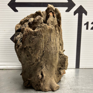 Stump Wood (L2)