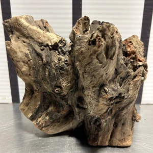 Stump Wood (L4)