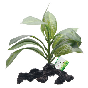 Fluval Anubias Plant, 7" Fluval Anubias Plant, 7"