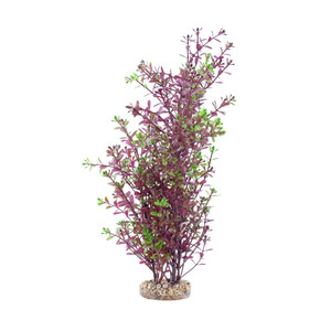 FLUVAL AQUALIFE PLANT SCAPES RED ROTALA - 25.5 CM (10 IN)