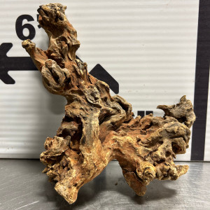 Congo Wood L1