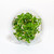 Aqua Scaper's Tank Kit - 10 Gal - Plants Aqua Scaper's Tank Kit - 10 Gal - Plants
