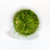 Aqua Scaper's Tank Kit - 10 Gal - Plants Aqua Scaper's Tank Kit - 10 Gal - Plants