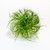 Aqua Scaper's Tank Kit - 10 Gal - Plants Aqua Scaper's Tank Kit - 10 Gal - Plants