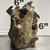 Stump Wood (M3)