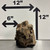 Stump Wood (M10)