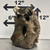Stump Wood (L1)