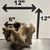 Stump Wood (L1)