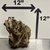 Stump Wood (L2)