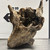 Stump Wood (L3)