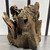 Stump Wood (L7)