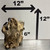Stump Wood (L11)