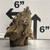 Stump Wood (S5)