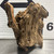 Stump Wood (S11)