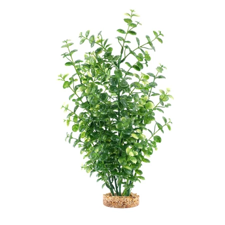 Can You Mix Artificial Aquarium Plants with Live Plants? Absolutely — Here’s How to Create a Beautiful Hybrid Aquascape