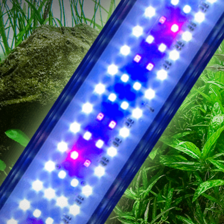 What is The Best Planted Aquarium Light?