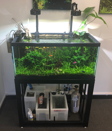 Modern Aquarium’s Guide to Setting up and Using CO2 in the Planted Aquarium. Modern Aquarium’s Guide to Setting up and Using CO2 in the Planted Aquarium.