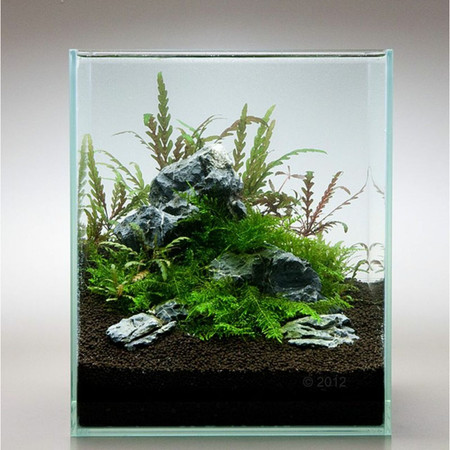 Nutrients For Aquarium Plants: Tips for Choosing Aquarium Plant Fertilizer