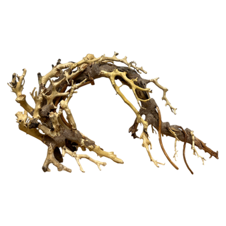 How to Prepare Driftwood For An Aquarium: Your Step-By-Step Guide