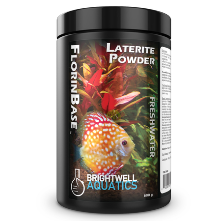 What is the Best Substrate For Planted Tanks? What is the Best Substrate For Planted Tanks?