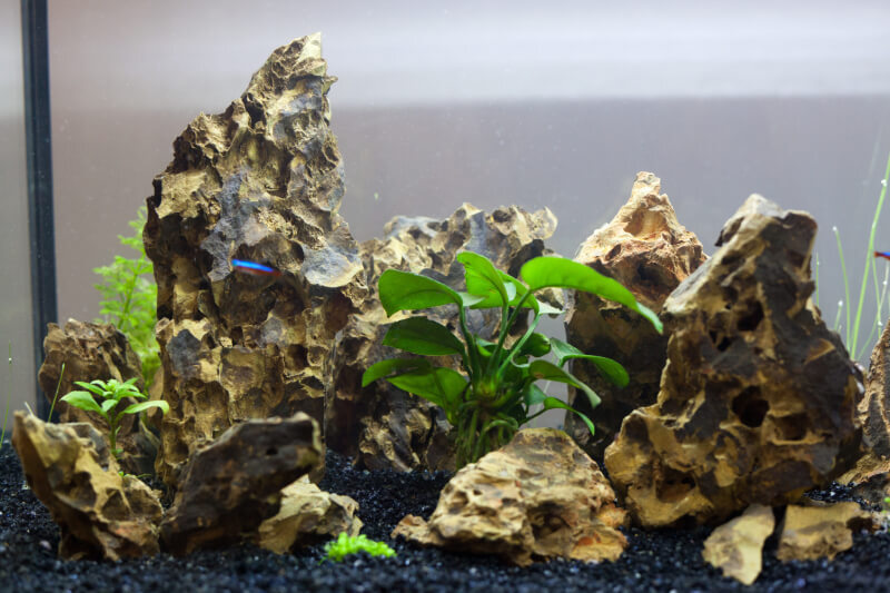aquarium-box-with-stones
