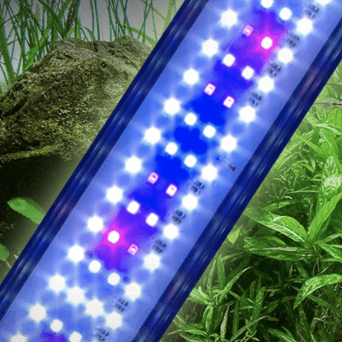 What is The Best Planted Aquarium Light? - Modern Aquarium