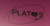 PLATO'S FOCUS AREA WALL LOGO