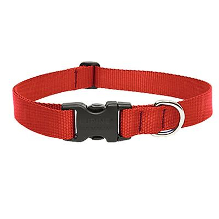 Red Collar 3/4 9-14