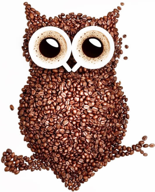 Coffee Owl