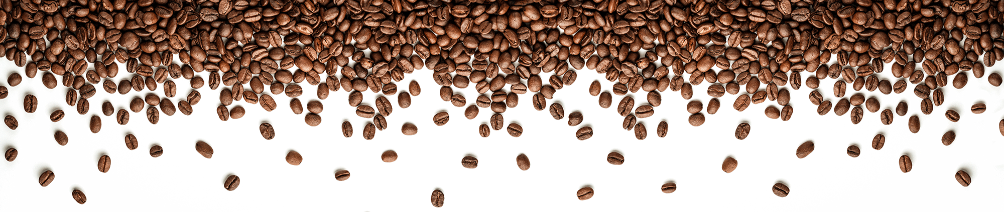 cb-optimized-v2-bean-header.png
