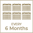Every 6 Months
