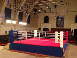Movie Fight Scene Professional Boxing Ring available in all different color combinations 