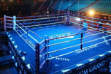 FIGHT NIGHT PROFESSIONAL BOXING RING COMPETITION APPROVED 