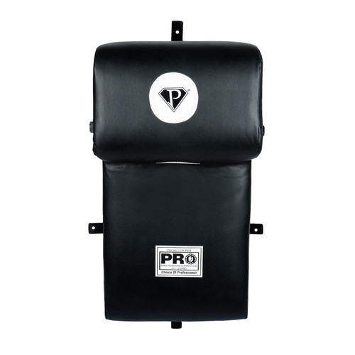 PRO Boxing Wall Mount Training Bag PRO Boxing Wall Mount Training Bag