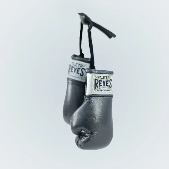 CLETO REYES MINI-HEAVY BAG & MINI-GLOVES KIT