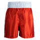 PRO Satin Boxing Trunks