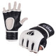 PRO Professional MMA Gloves Training Series
