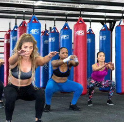 Punching Bags Punching Bags