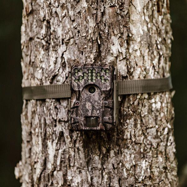 MOULTRIE A-900I BUNDLE CAMERA Springhill Outfitters - Main Image
