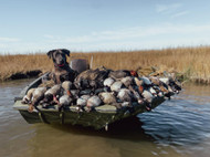 Hunting with Dogs: Gear & Training Tips for Retrievers