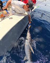 Big Rock 2026 Is Calling: Offshore Season Starts Here